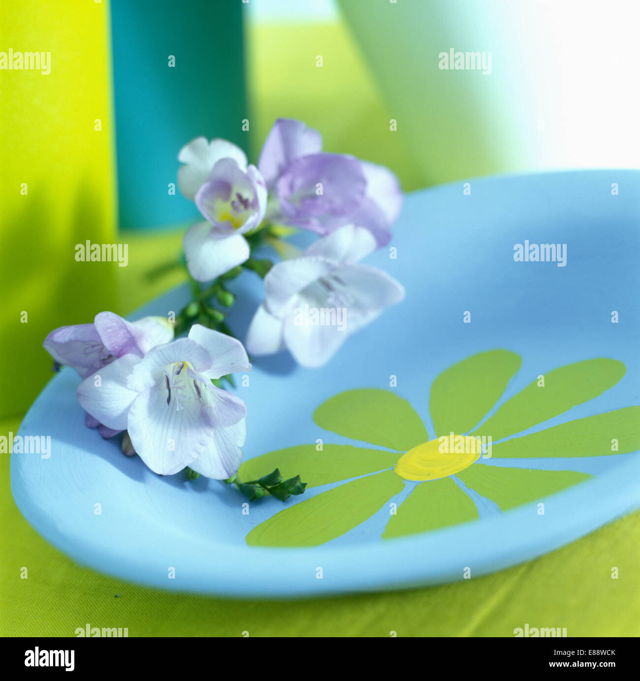 Close-up de freesias mauves sur plaque bleue avec daisy vert au pochoir Banque D'Images