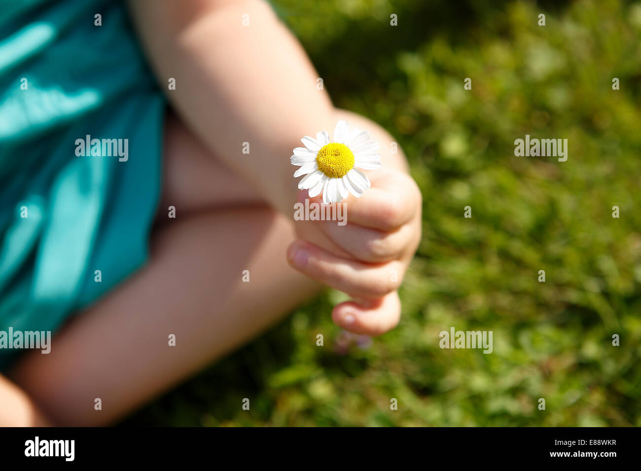 Petite fille daisy belle détient dans l'appareil photo Banque D'Images