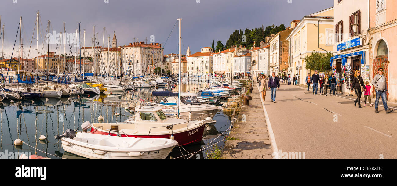 Port de Piran (Luka), Piran Primorska, Istrie slovène, la Slovénie, l'Europe Banque D'Images