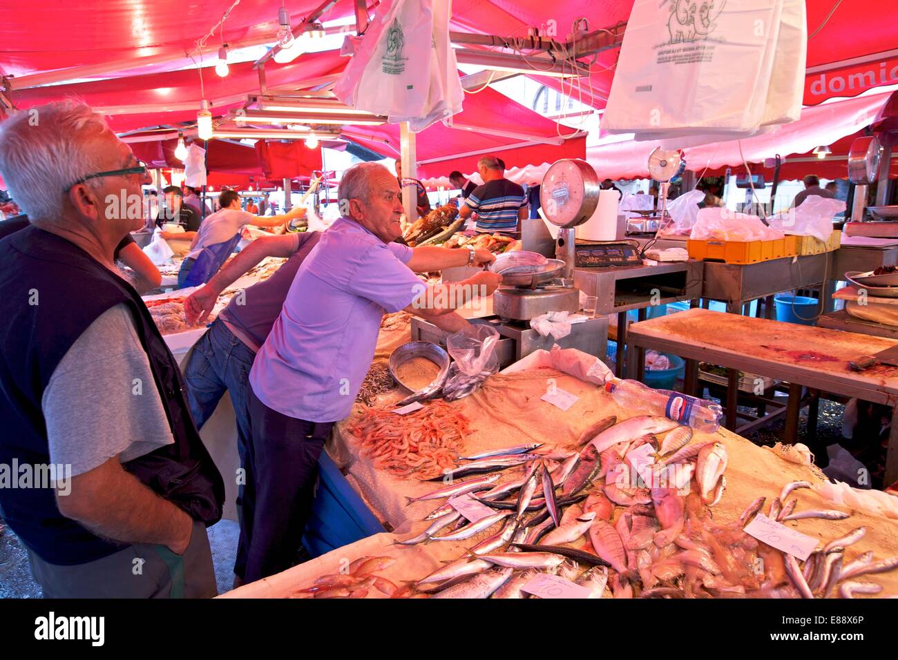 Marché aux poissons, Catane, Sicile, Italie, Europe Banque D'Images