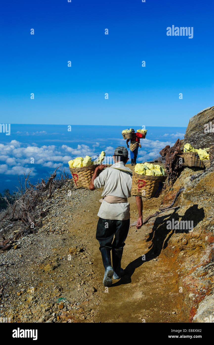 Les travailleurs occupés de grands morceaux d'anhydride de l'Ijen Volcano, Java, Indonésie, Asie du Sud, Asie Banque D'Images