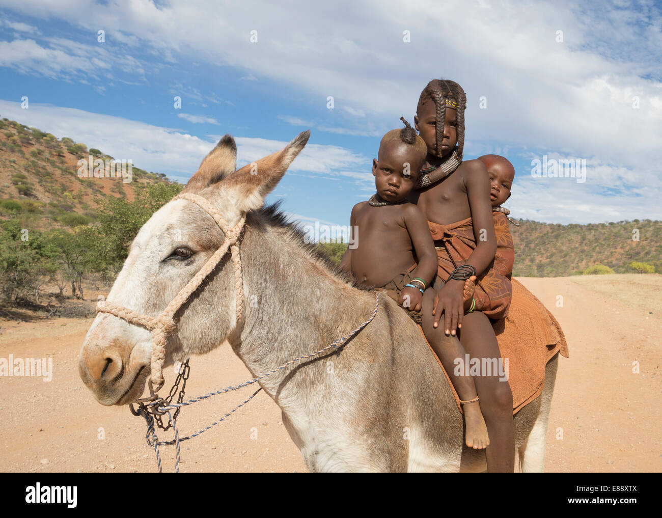Enfants Himba, Kaokoland, Namibie, Afrique Banque D'Images