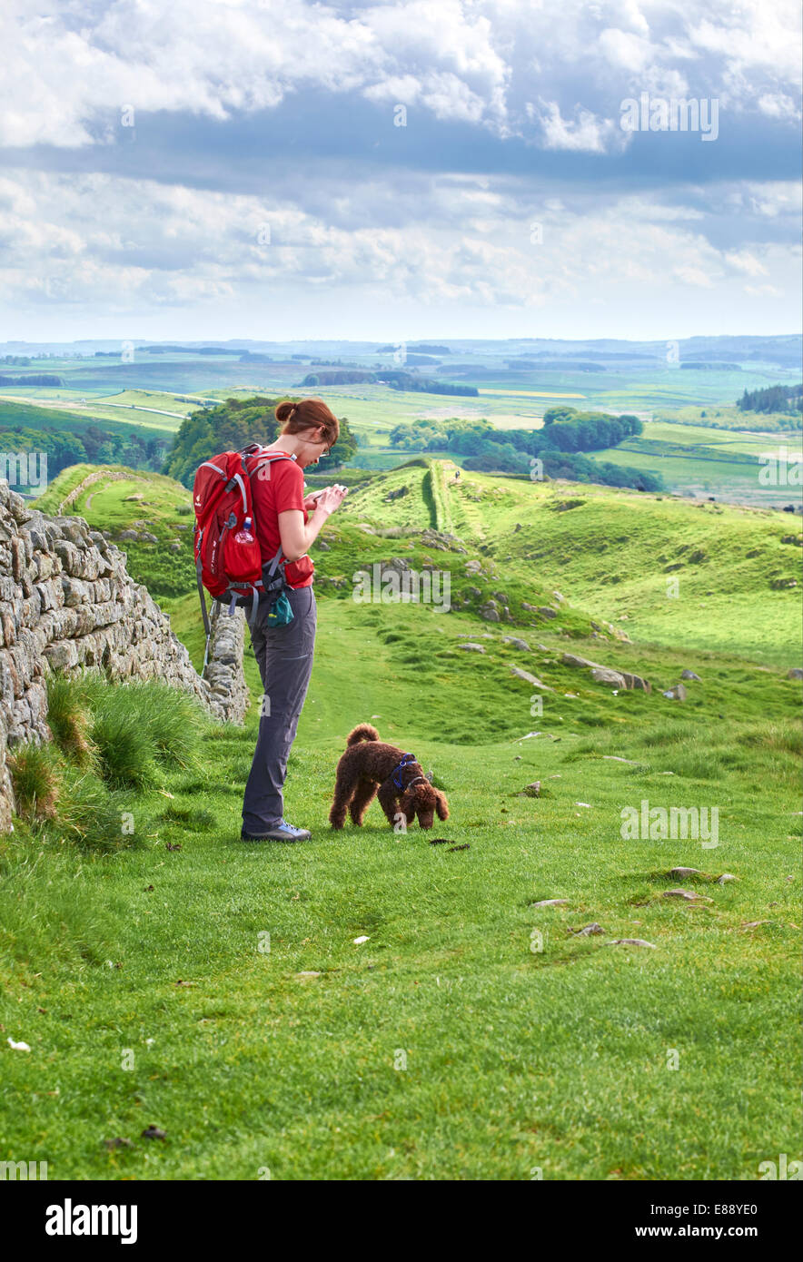 Un randonneur marchant leur chien au mur d'Hadrien, dans le Northumberland, Angleterre du Nord-Est. Banque D'Images