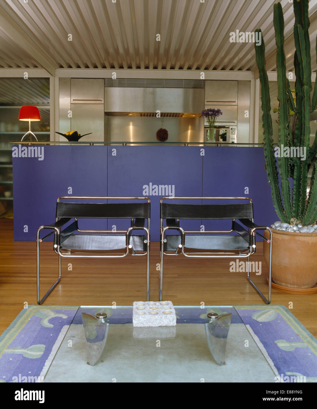 Deux fauteuils Wassily de Marcel Breuer dans modern salon et cuisine avec de grands cactus et compteur bleu Banque D'Images