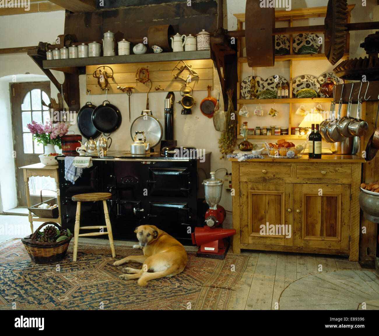 Dog lying in front of black Aga en cuisine de campagne Banque D'Images