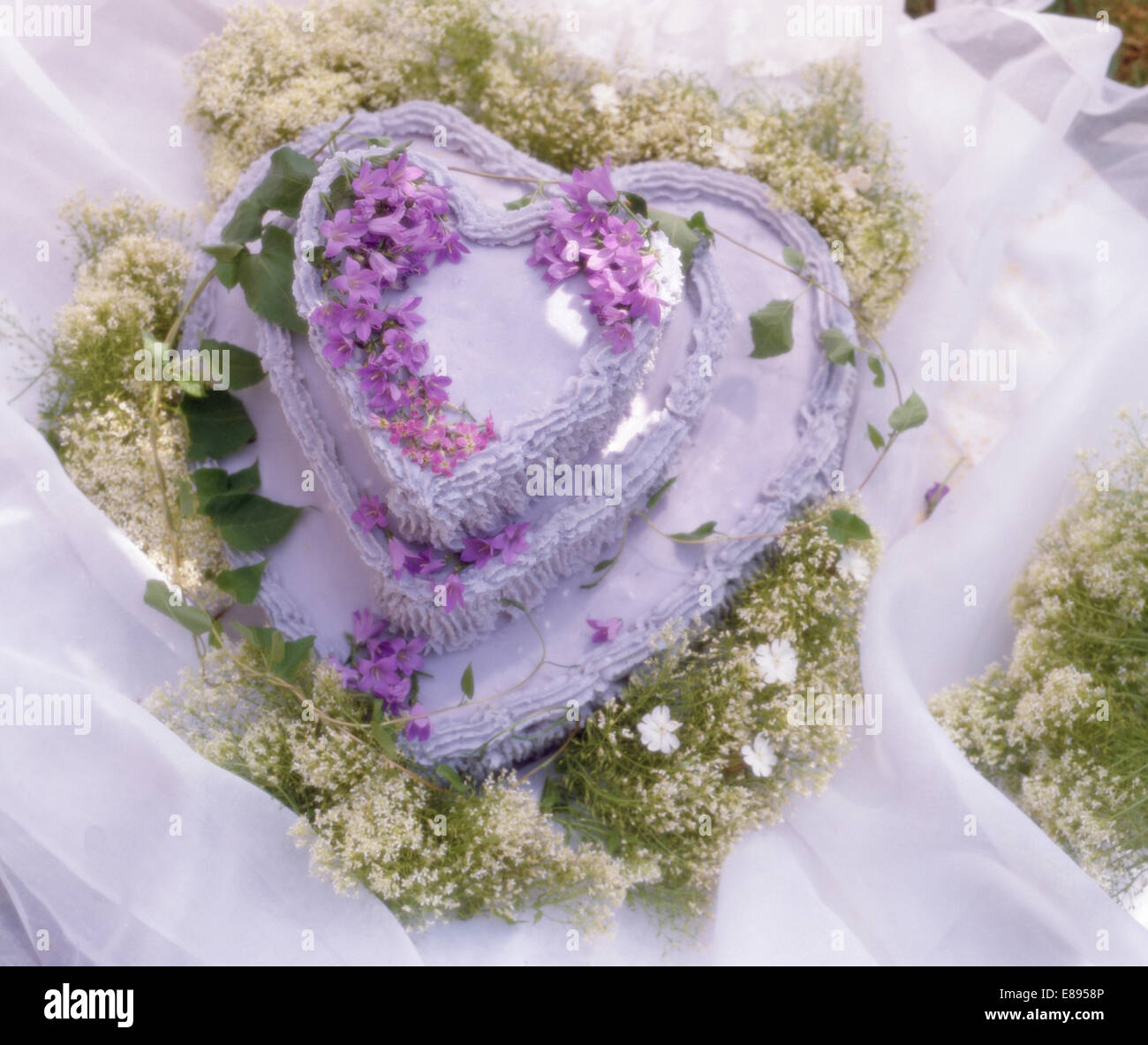 Still-Life de Saint Valentin en forme de coeur gâteau décoré avec campanula Mauve et blanc gypsophila Banque D'Images