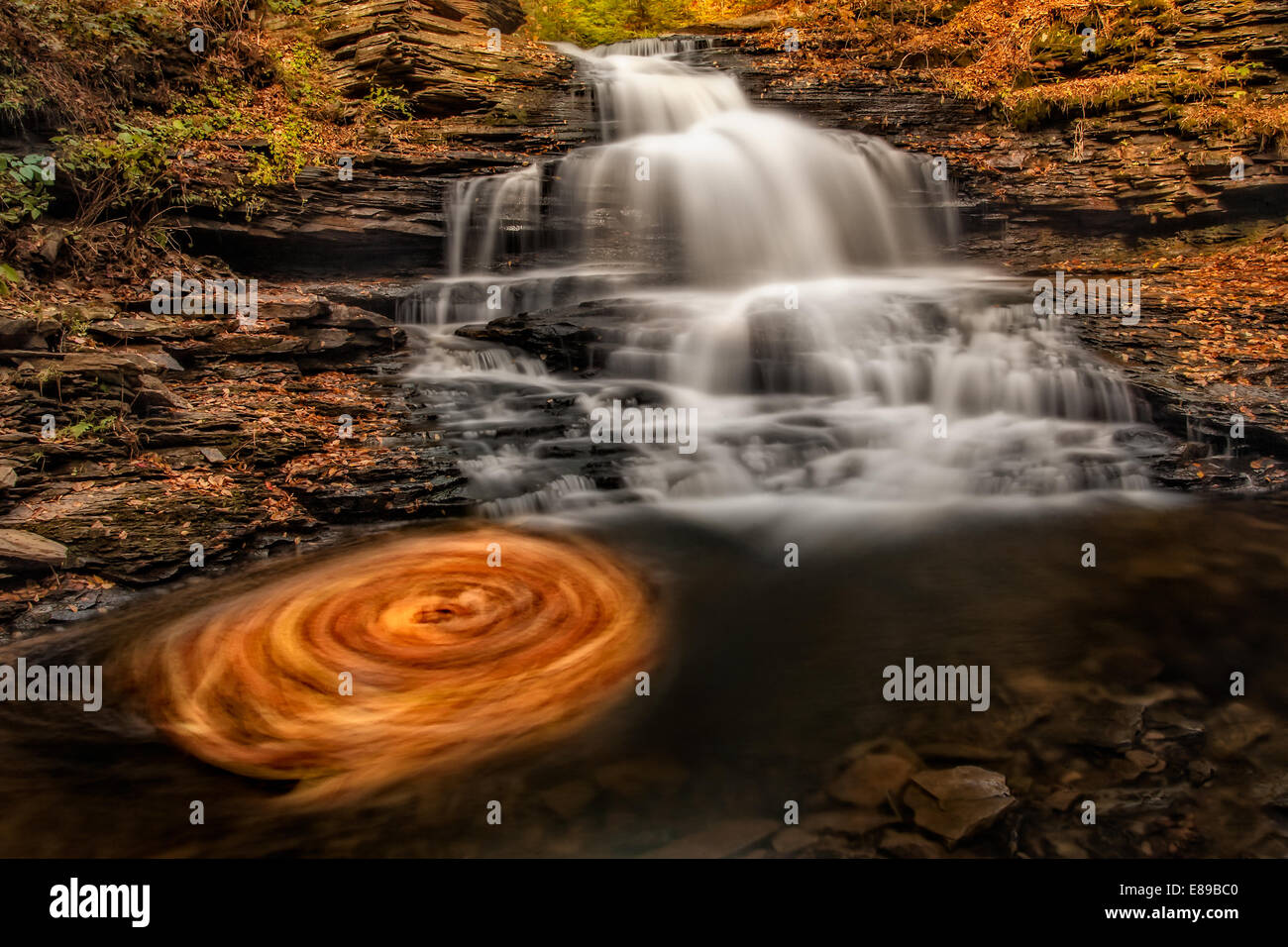 Chute d'eau à Ricketts Glen State Park à l'automne, avec de belles feuilles couleur d'or dans l'eau tourbillonnante ci-dessous. Banque D'Images