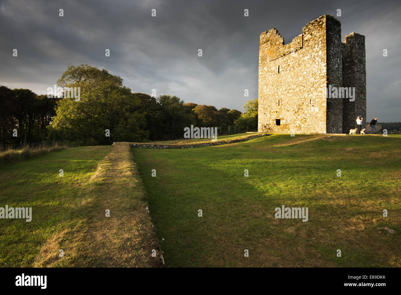 Audley's Castle, Strangford Banque D'Images