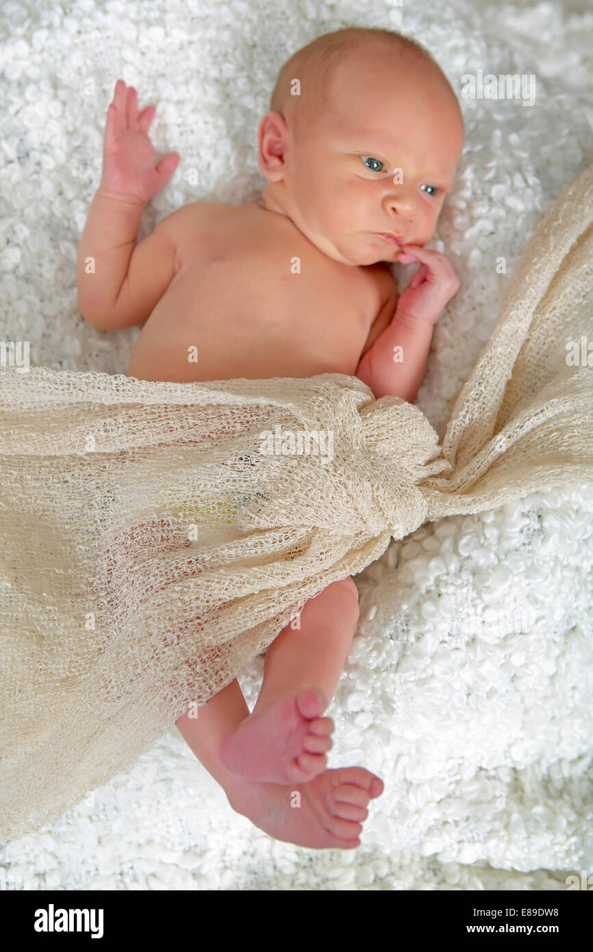 Newborn baby boy Banque D'Images