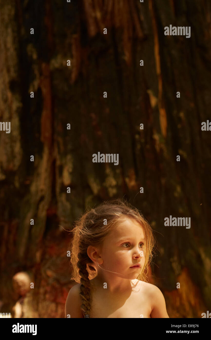 Fille assise en face de l'arbre séquoia géant Banque D'Images