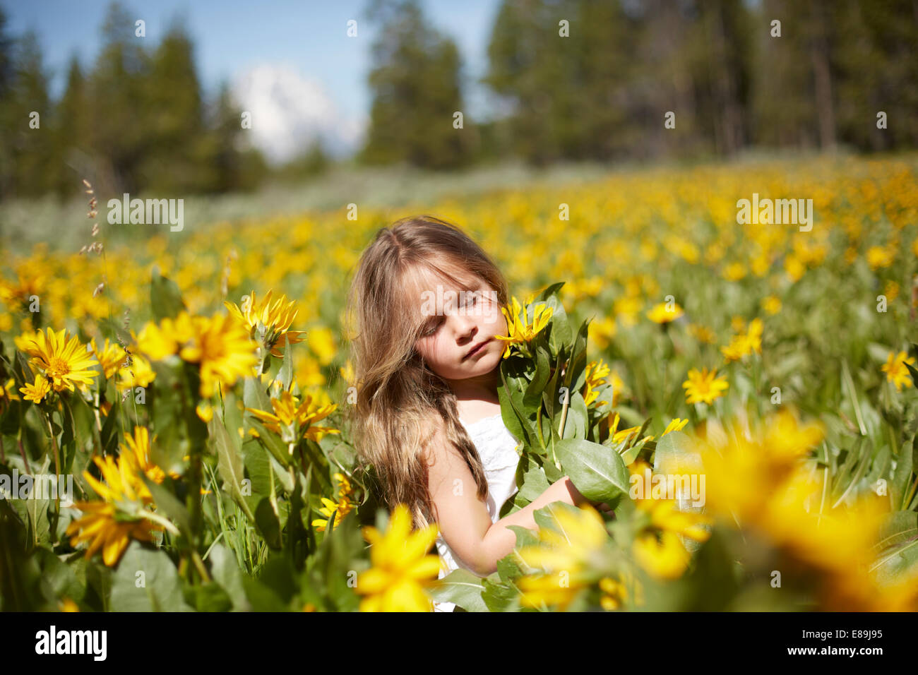 Girl in field of wildflowers Banque D'Images