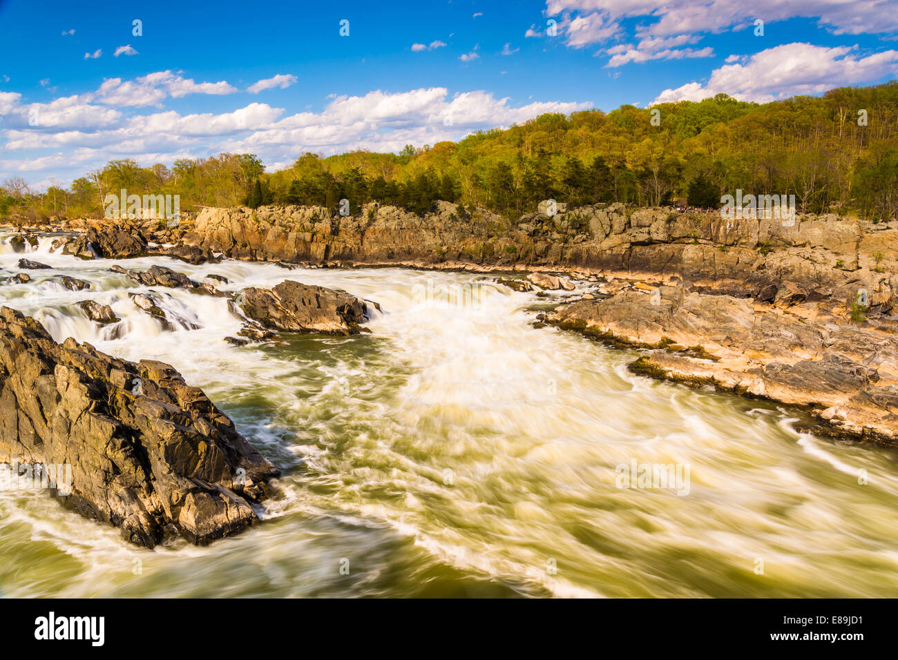 Rapides de la rivière Potomac, à Great Falls Park, en Virginie. Banque D'Images