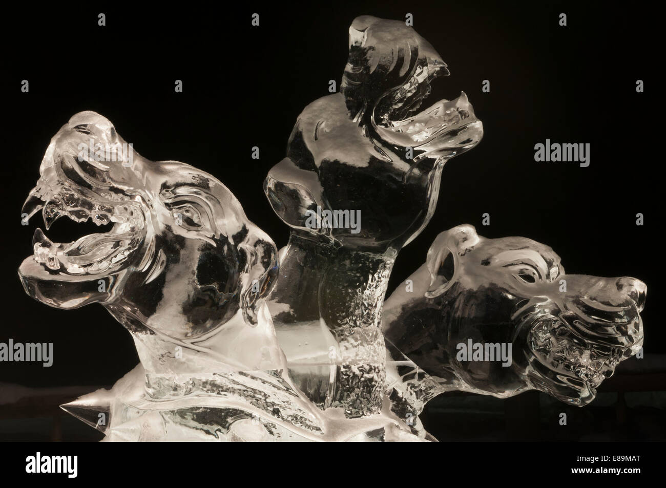 Chien À Trois Têtes Banque du0027image et photos - Alamy