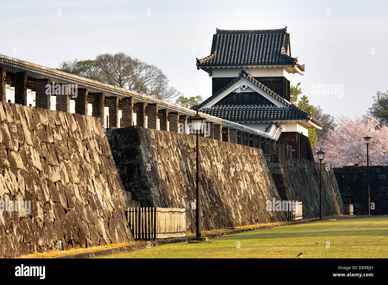 Le mur de Nisdiemaru menant à la tourelle d'angle, l'inui yagura, dans la lumière de l'heure d'or du matin et les cerisiers en fleurs près de la tourelle. Tremblement de terre avant 2016. Banque D'Images