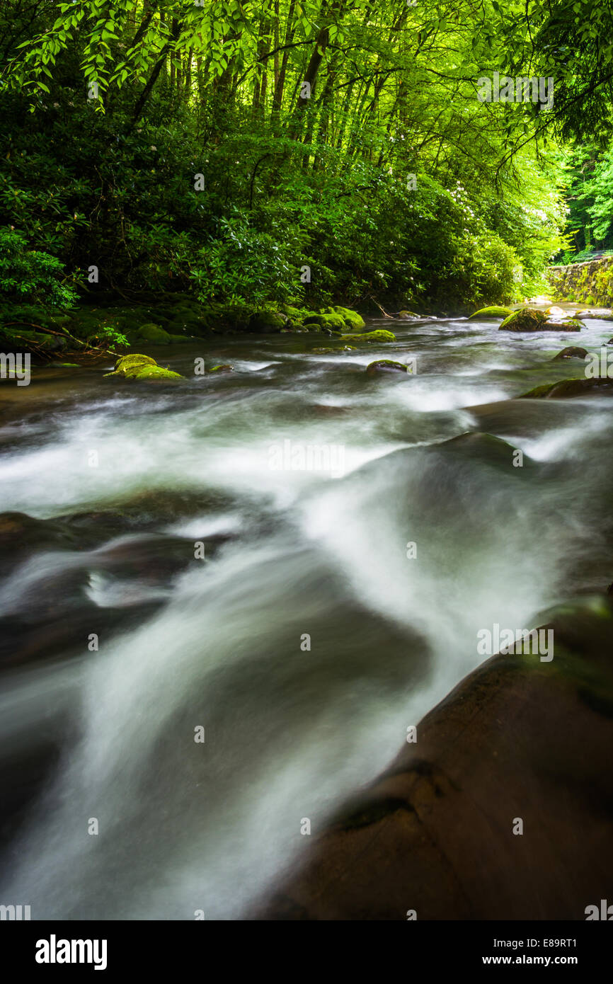 Dans les Cascades, la rivière Oconaluftee à Great Smoky Mountains National Park, Caroline du Nord. Banque D'Images