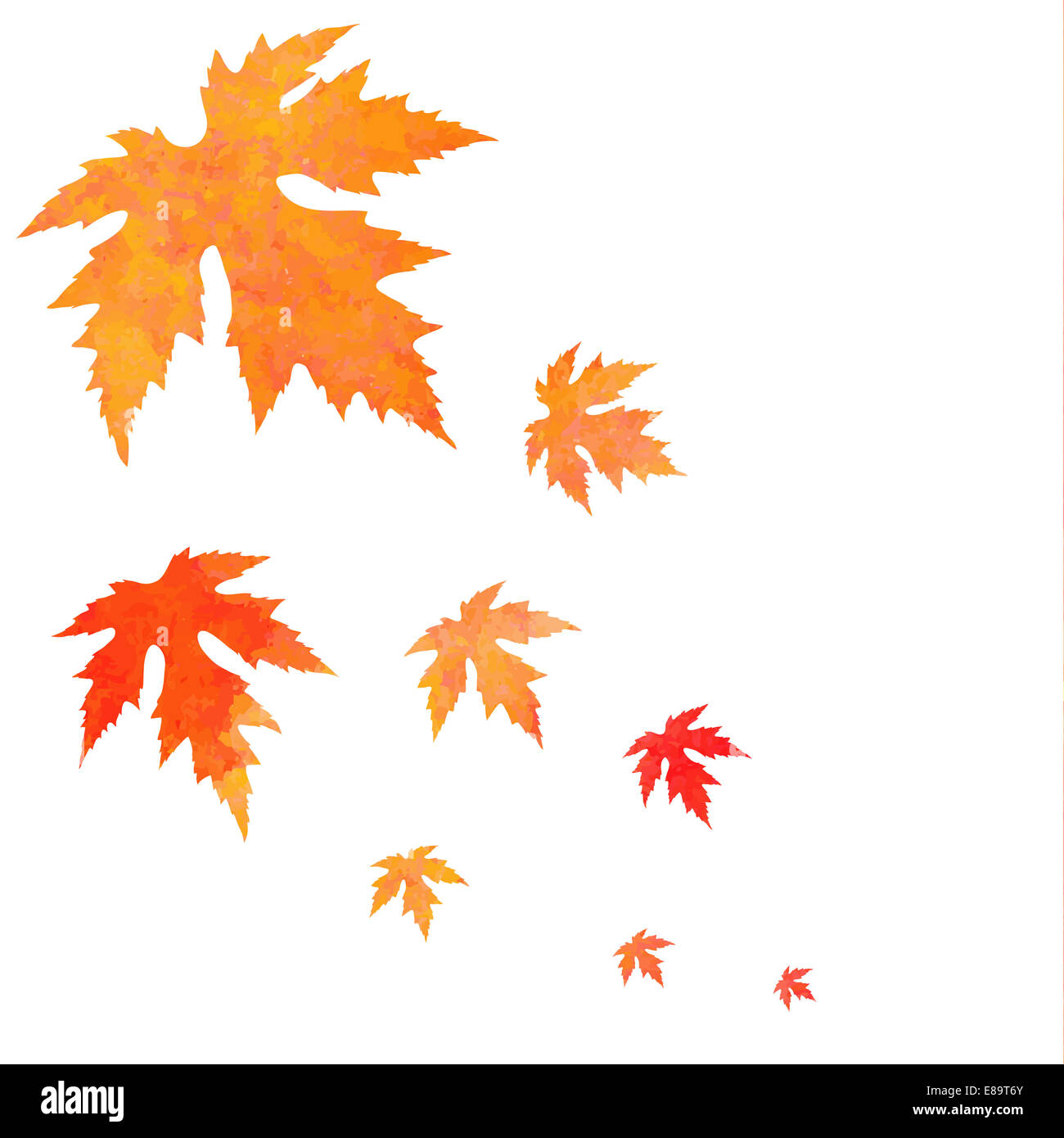 Vector orange peint à l'aquarelle les feuilles tombent Banque D'Images