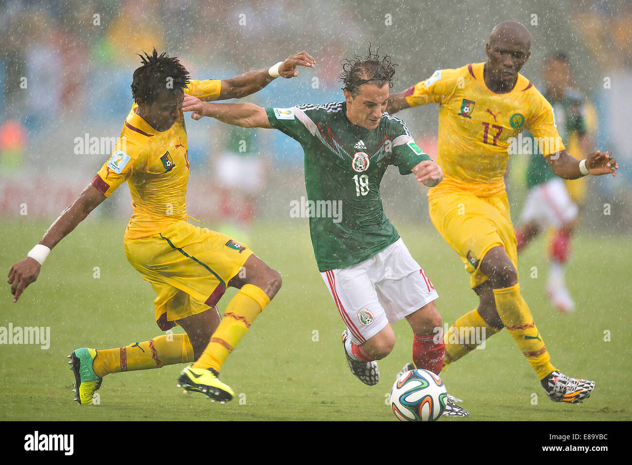 Foto de accion durante el partido Mexique vs Cameroun, Partido numero 2 del Grupo A en el Mundial de Futbol 2014, en la fot Banque D'Images