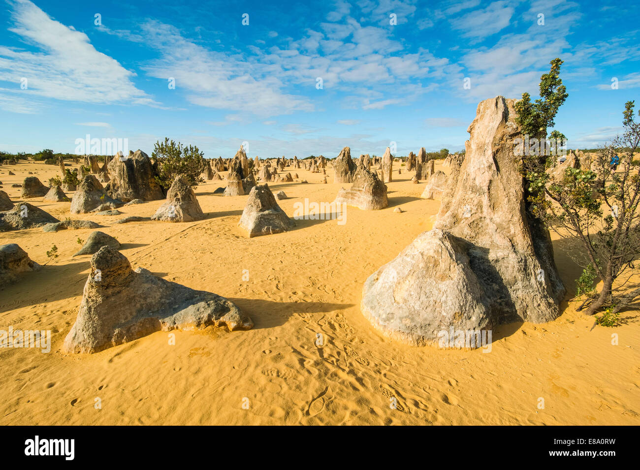 Les formations calcaires, le Parc National de Nambung, Australie occidentale Banque D'Images