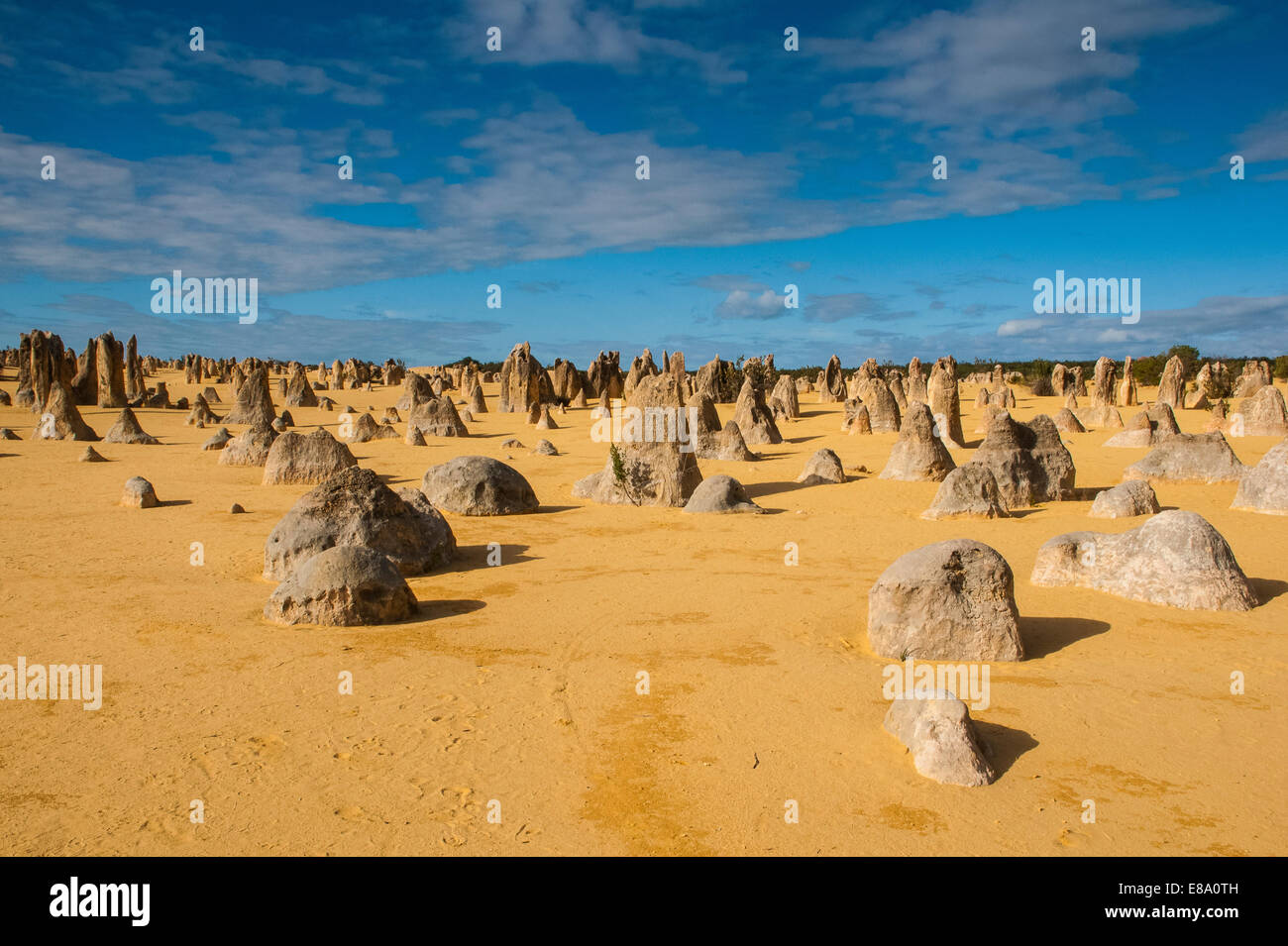 Les formations calcaires, le Parc National de Nambung, Australie occidentale Banque D'Images