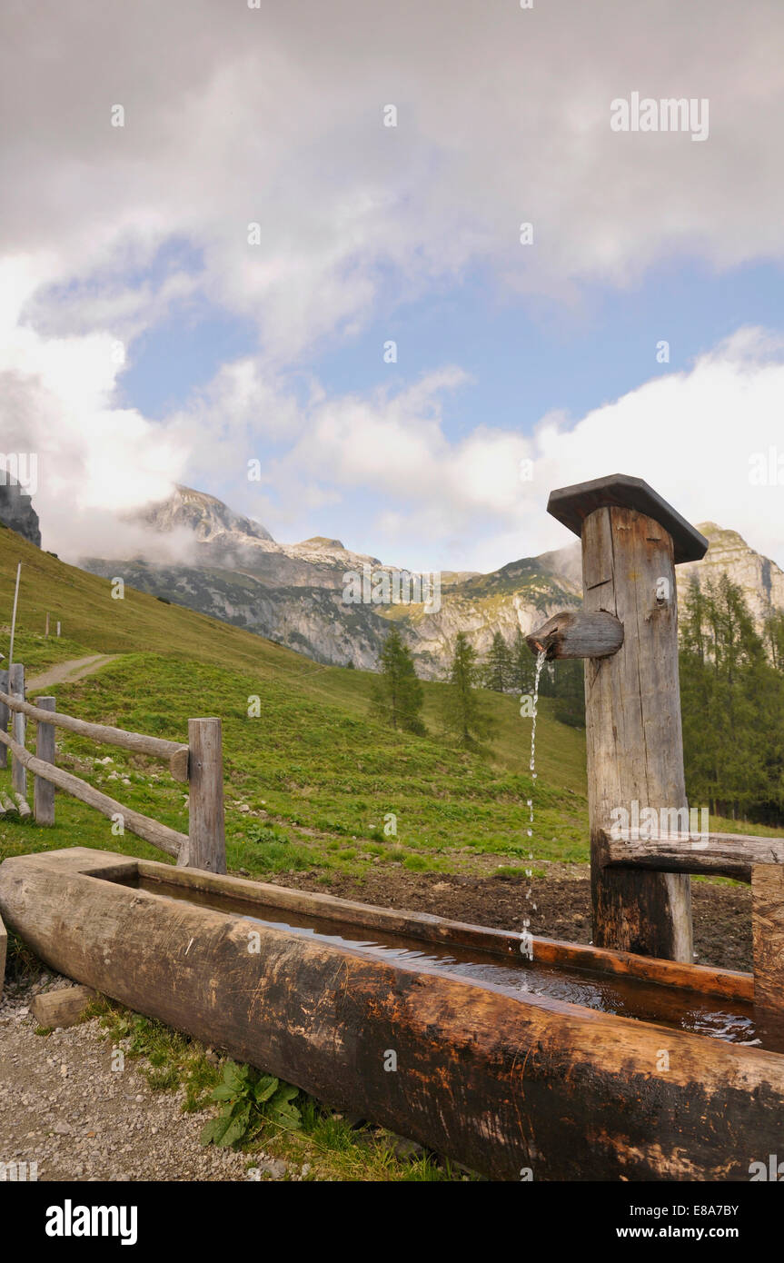 Vue de l'auge avec montagnes, Salzburger Land, Autriche Banque D'Images