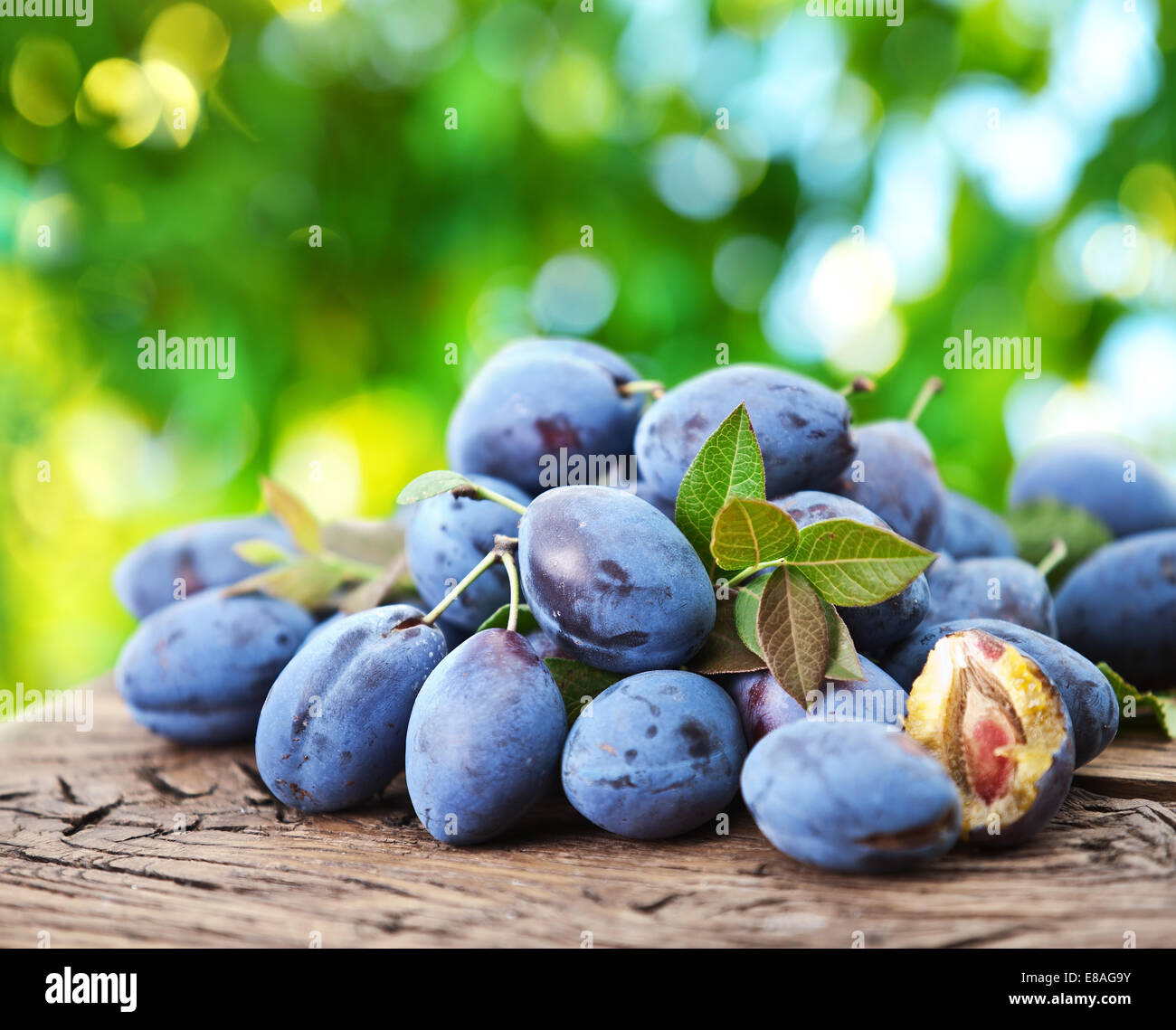 Les prunes sur une vieille table en bois dans le jardin. Banque D'Images