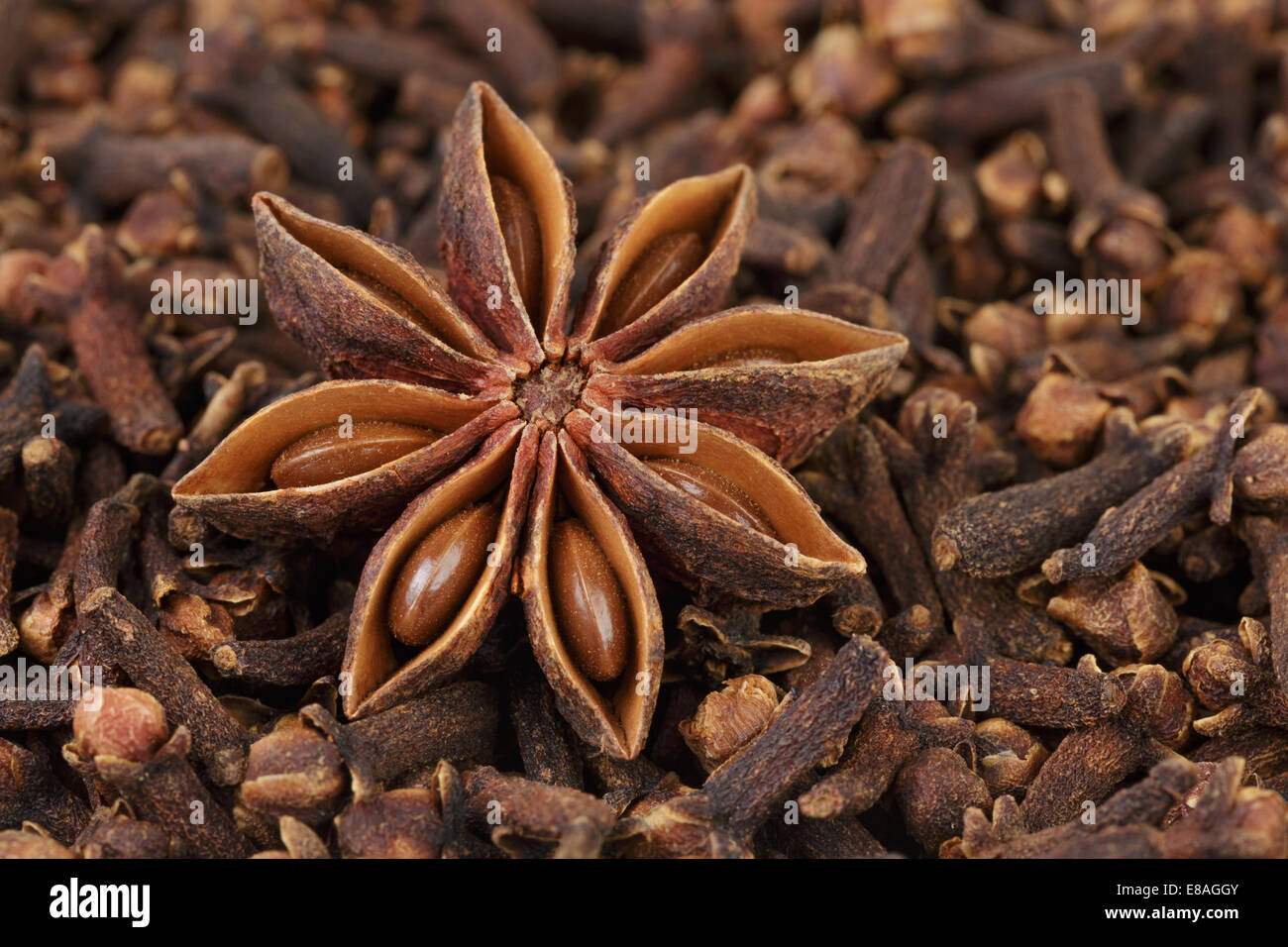 Heap de girofle et anis étoile, peut être utilisé comme arrière-plan Banque D'Images
