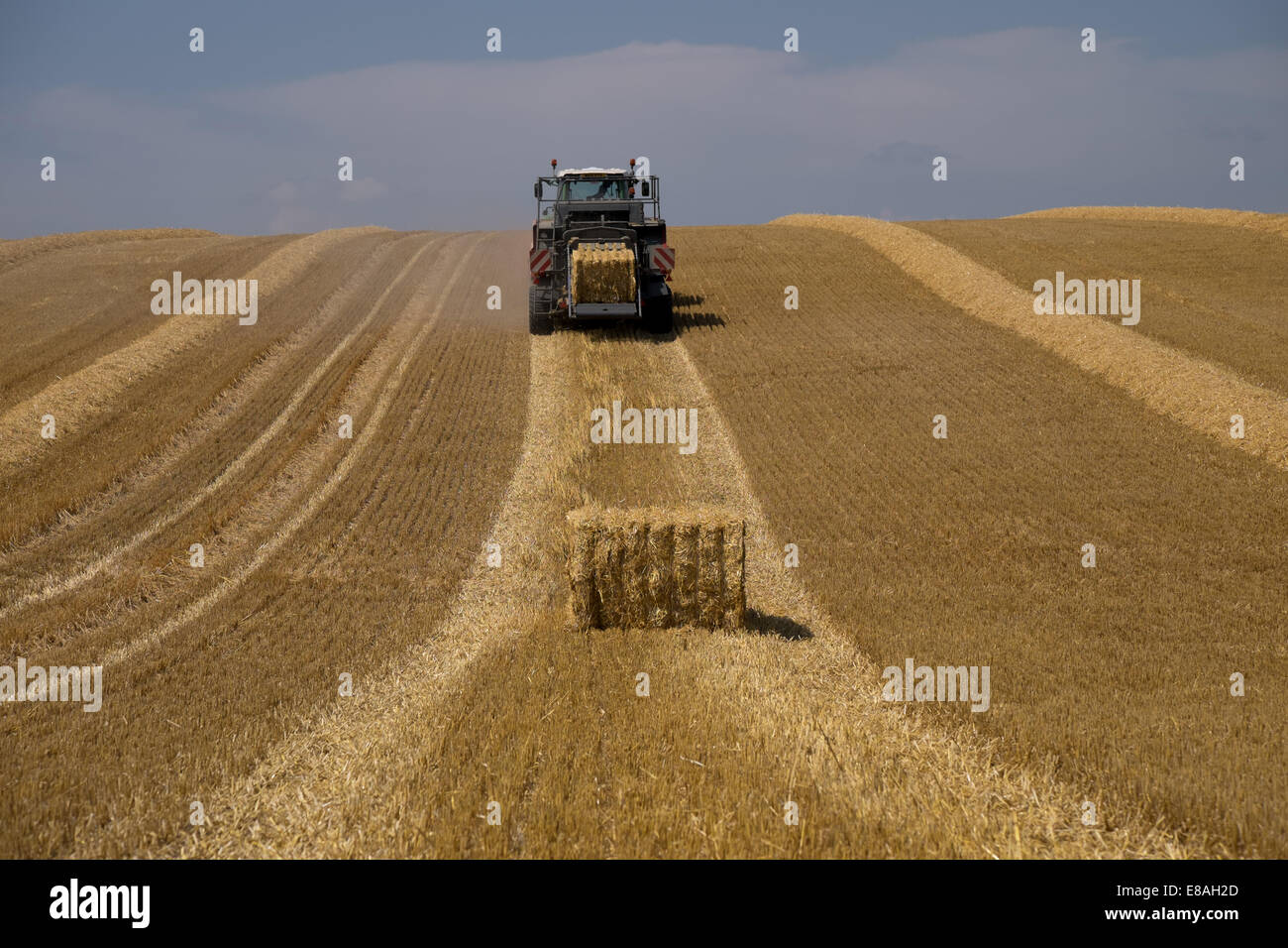Une presse à balles de foin gouttes de couper le foin de leur tracteur Banque D'Images