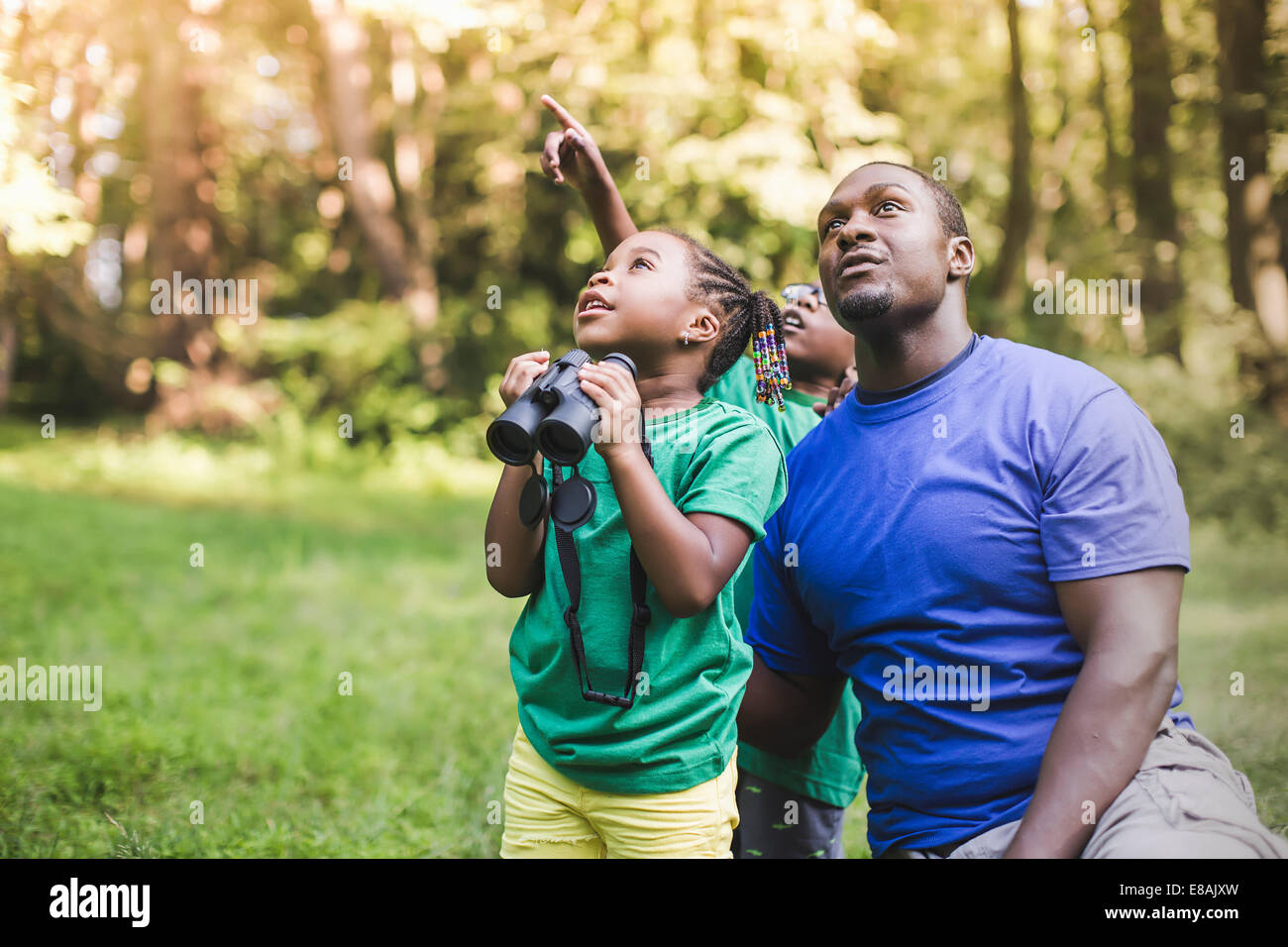 Jeune père avec son fils et sa fille l'observation des oiseaux en eco forest camp Banque D'Images