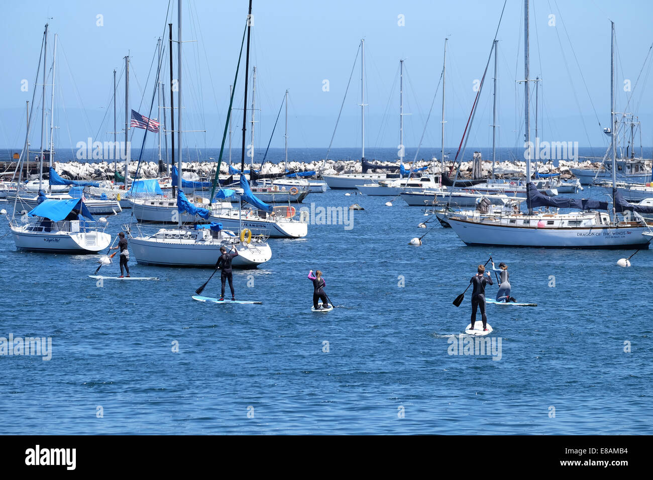 Paddle boards dans la baie de Monterey en Californie Banque D'Images