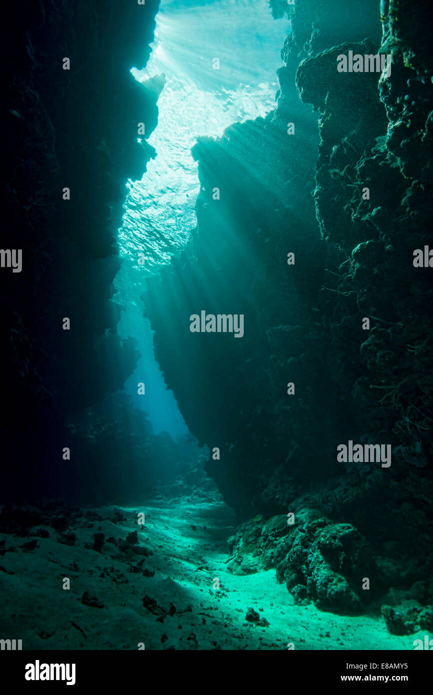 En sous-marin, la lumière du soleil, le magasin général, Uepi Island, Géorgie, Îles Salomon Banque D'Images