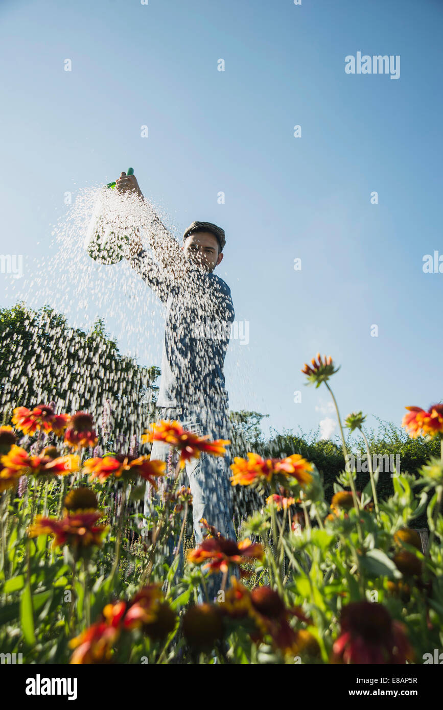 Gardener watering flowers Banque D'Images
