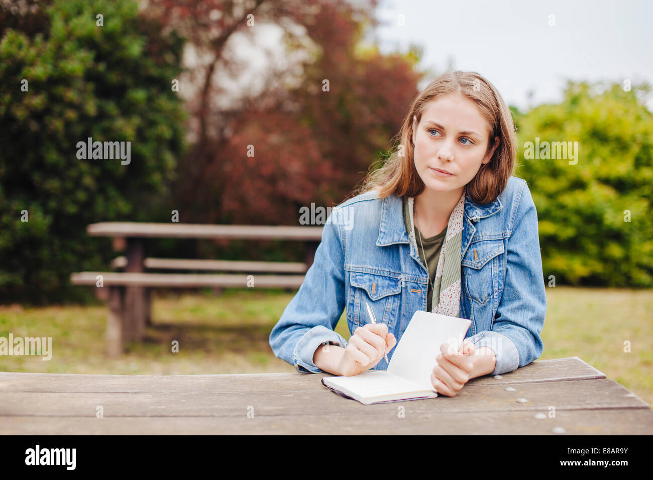 Jeune femme assise au banc de pique-nique dans le parc écrit dans l'ordinateur portable Banque D'Images
