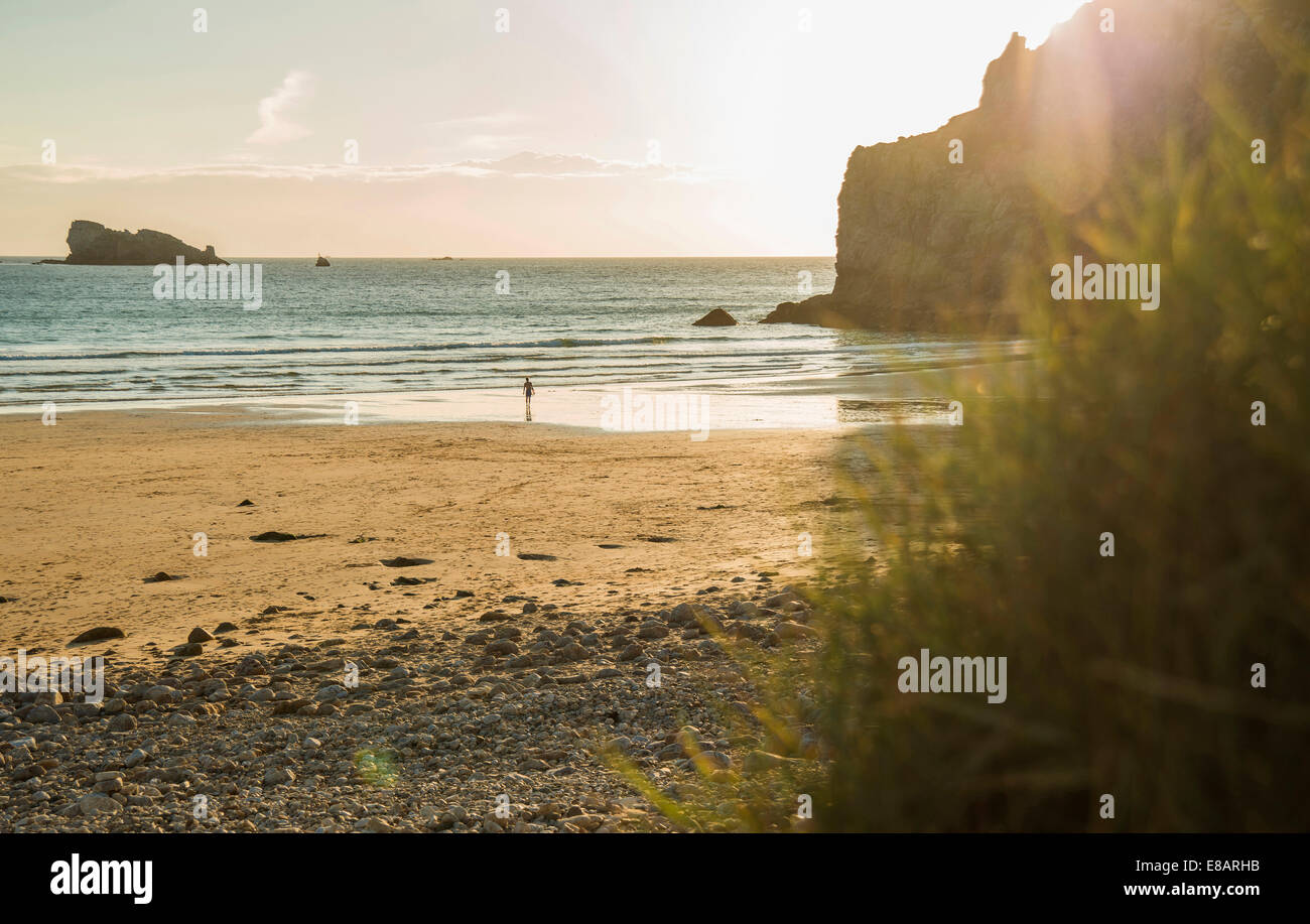 Vue éloignée sur les adolescents de sexe masculin surfer à marcher vers la mer, Camaret-sur-mer, Bretagne, France Banque D'Images