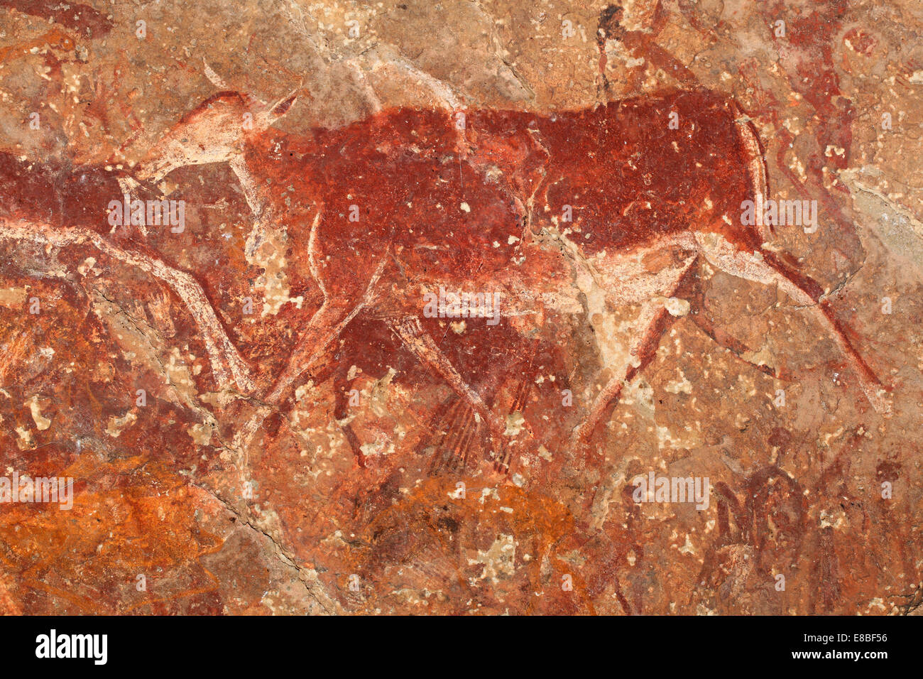 San (Bushmen) peinture rupestre d'une antilope eland, montagnes du Drakensberg, Afrique du Sud Banque D'Images