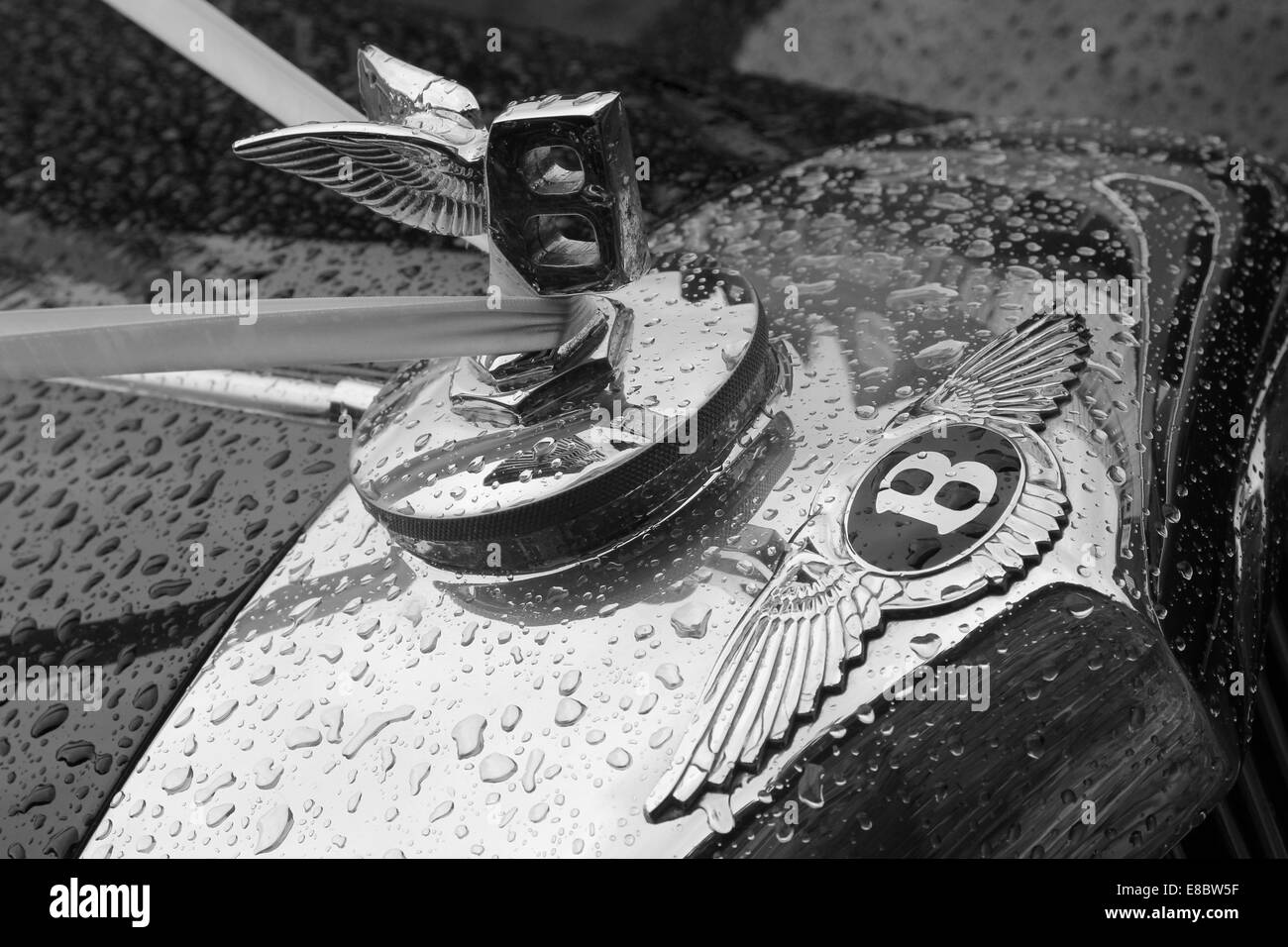 Photos de détail d'articles de mariage Banque D'Images