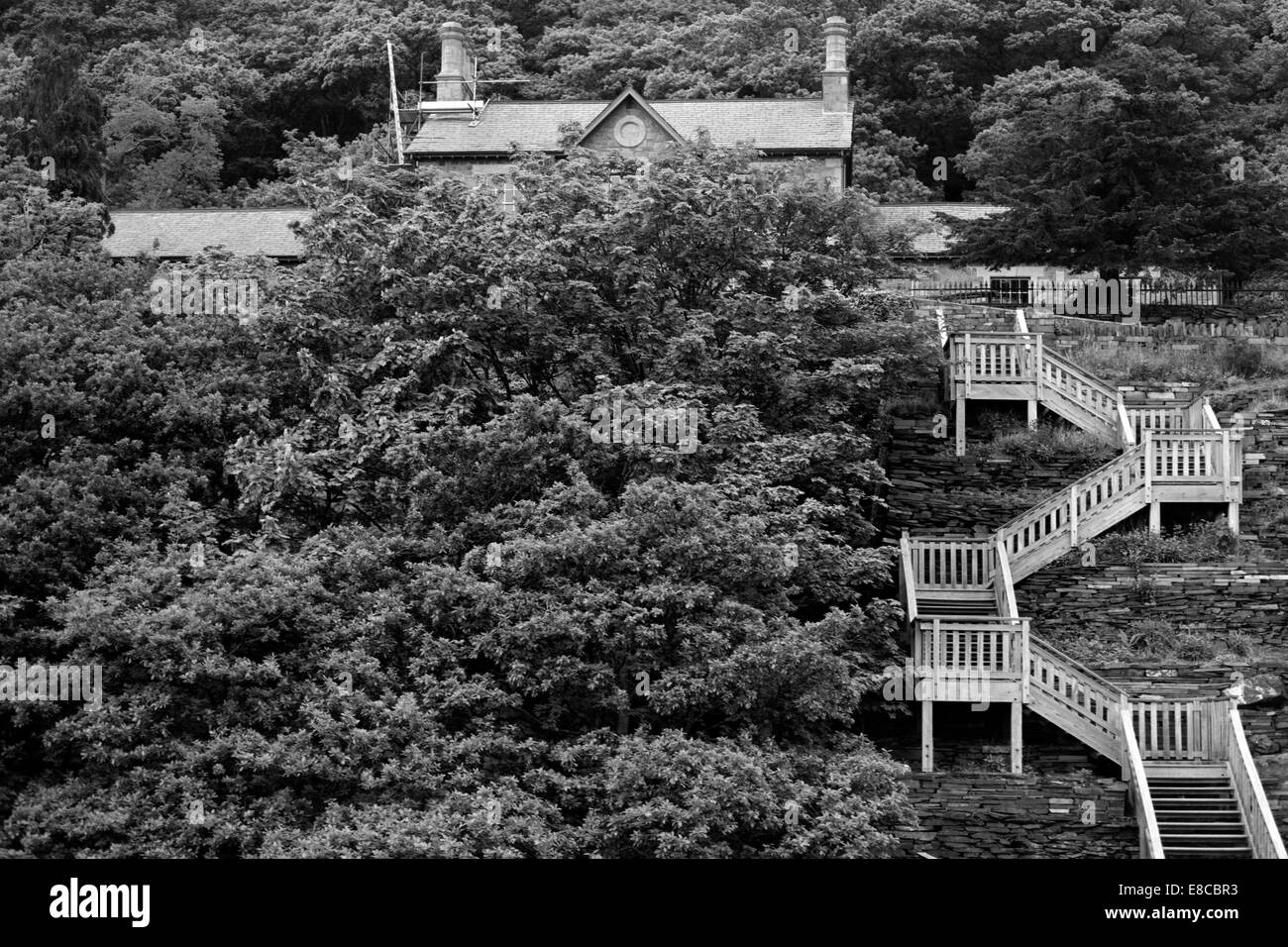 Une maison cachée entre les arbres avec un long escalier en bois menant à Winchester england uk Banque D'Images