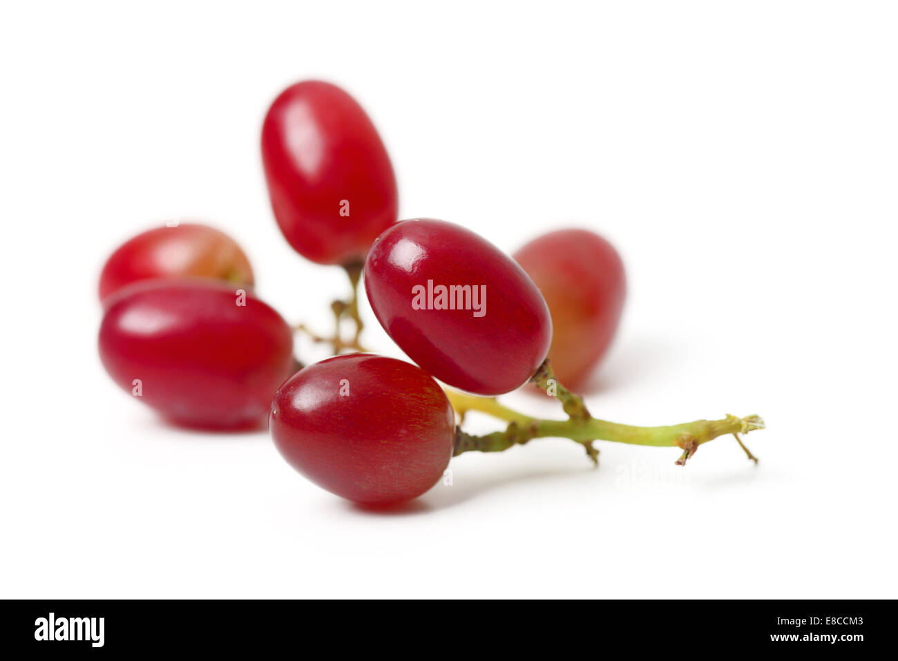 Les raisins rouges isolated on white Banque D'Images