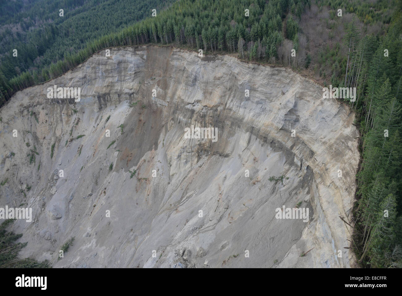 001 2014 Glissement de terrain dans l'État de Washington Banque D'Images