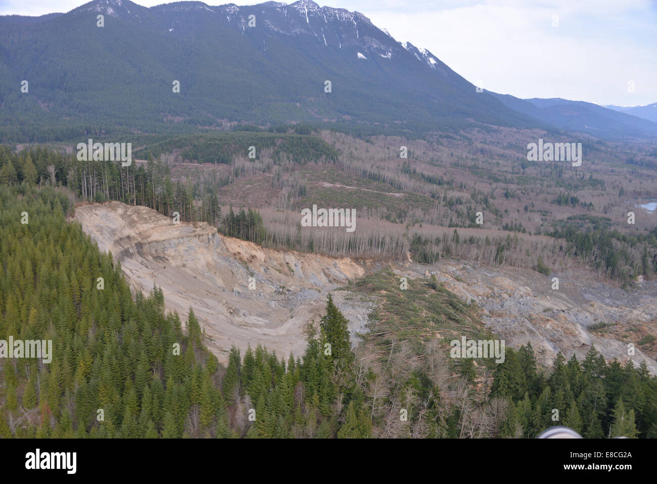 2014 Glissement de terrain dans l'État de Washington Banque D'Images