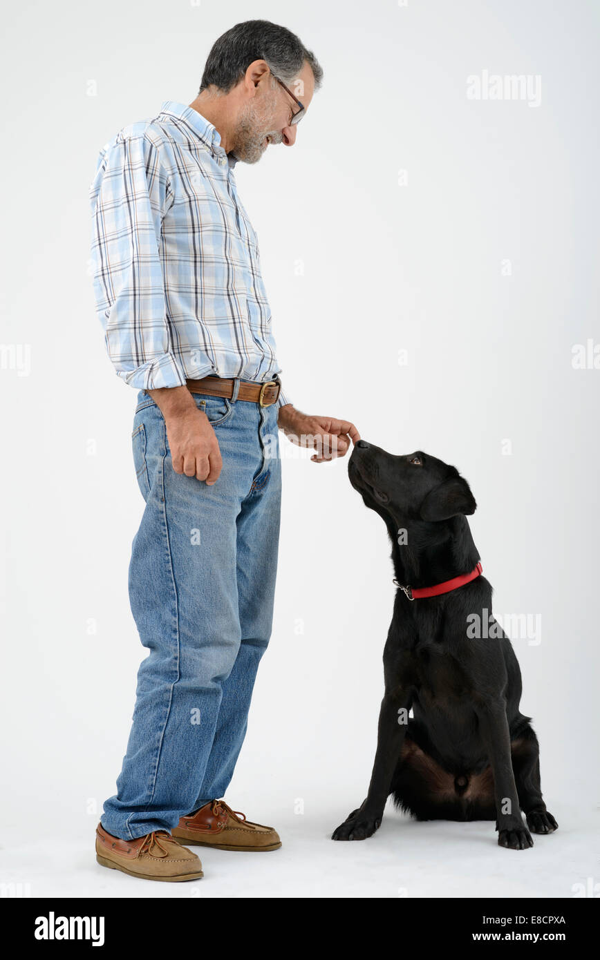 Man petting dog labrador retriever noir Banque D'Images