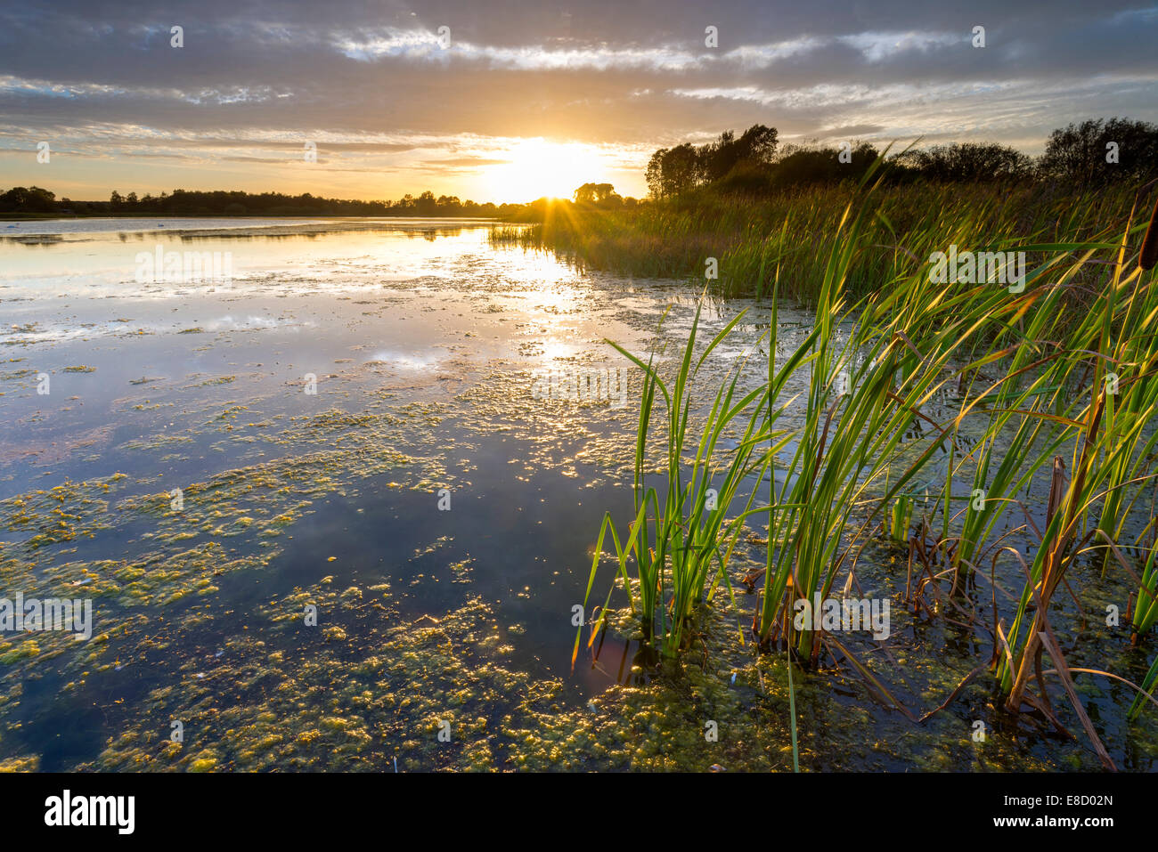 Eaux grand lac près de Newcastle Upon Tyne, au crépuscule Banque D'Images