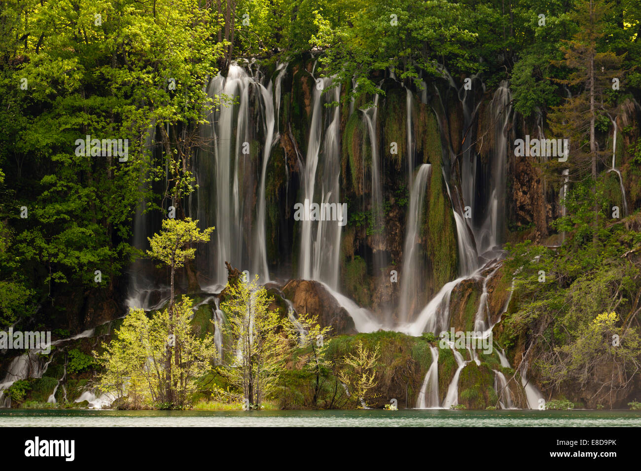 L'eau qui coule sur une cascade de colline boisée dans le Plicvice les lacs, le parc national des Lacs de Plitvice, Croatie Banque D'Images