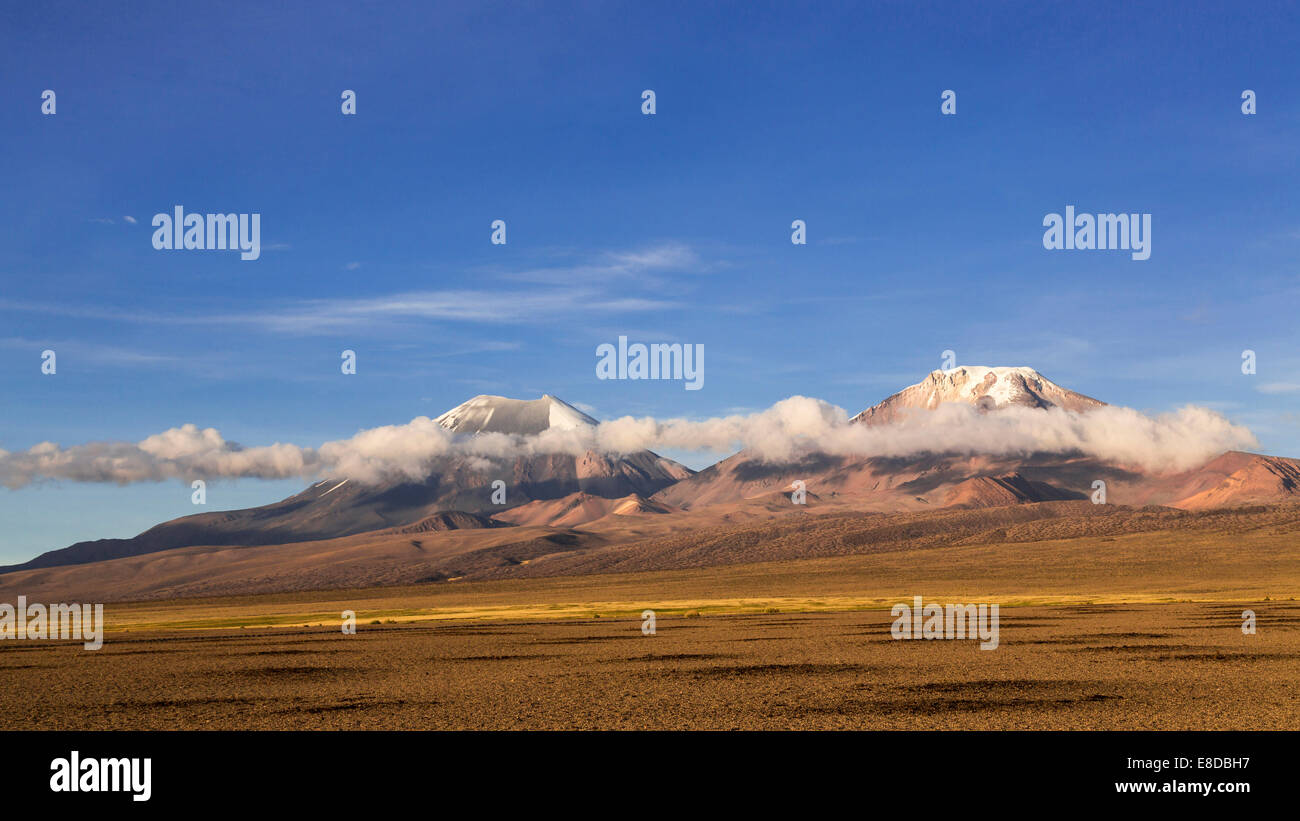 Le paysage dans le parc national de Sajama Altiplano, Highlands, Bolivie Banque D'Images