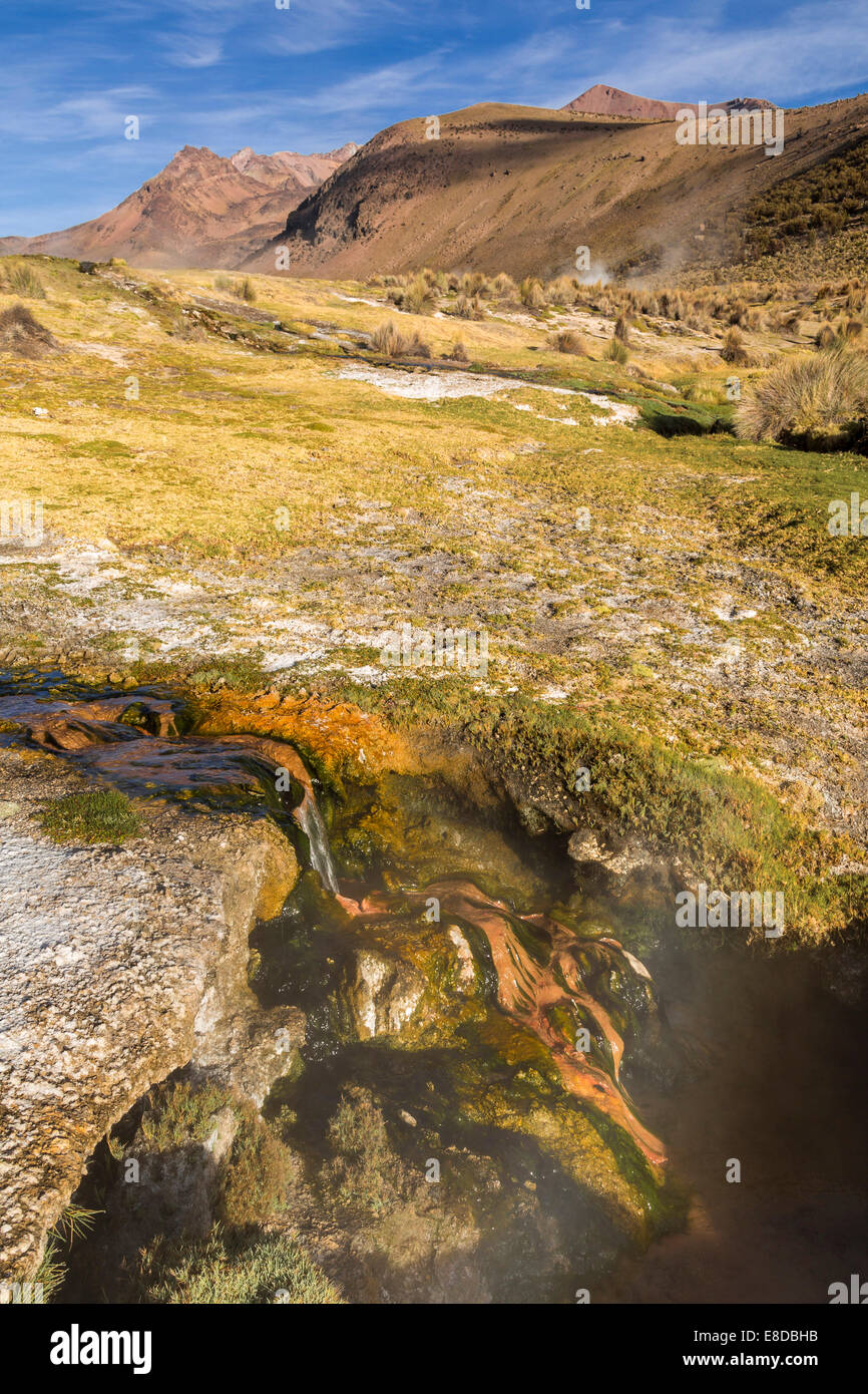 Hot springs, Parc national de Sajama Altiplano, Highlands, Bolivie Banque D'Images