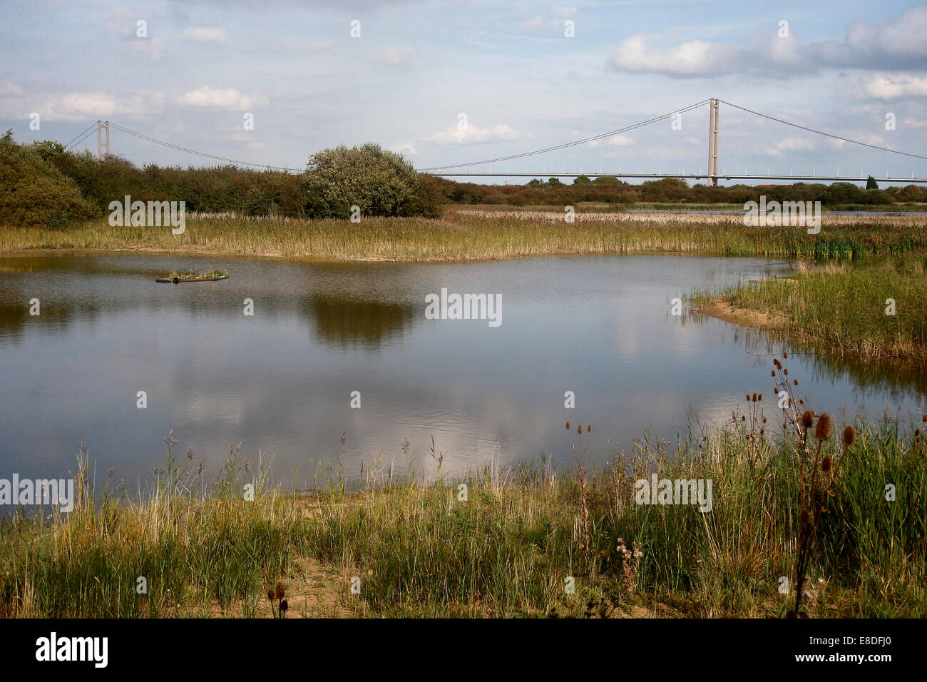Loin de la réserve RSPB Ings, Lincolnshire, Septembre 2014 Banque D'Images