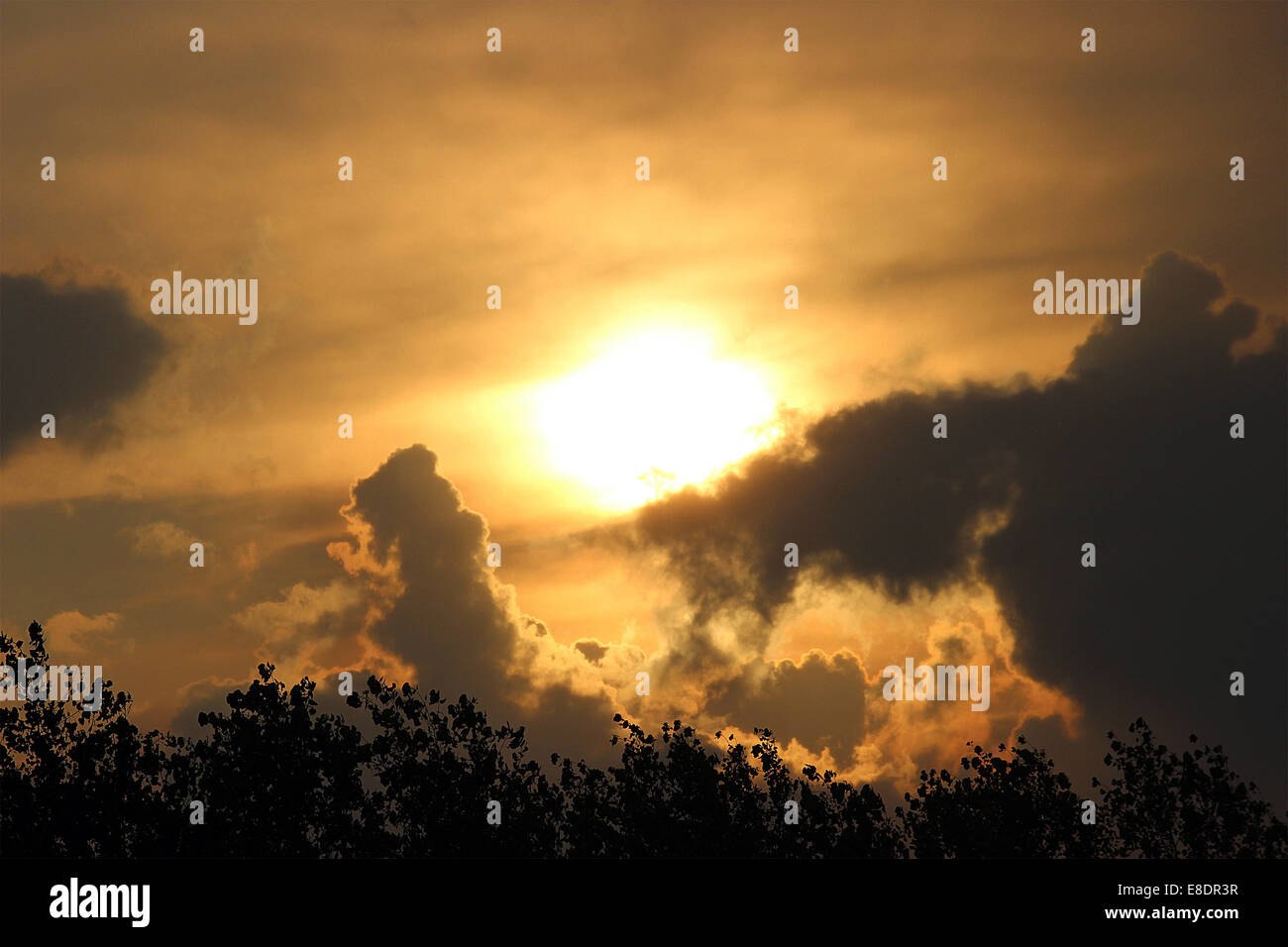 Coucher de soleil, nature, photographie, ciel, voyage, photo-jour, paysage, amour, photographie de soleil, naturephotographie, plage, soleil, été, lever du soleil, belle Banque D'Images