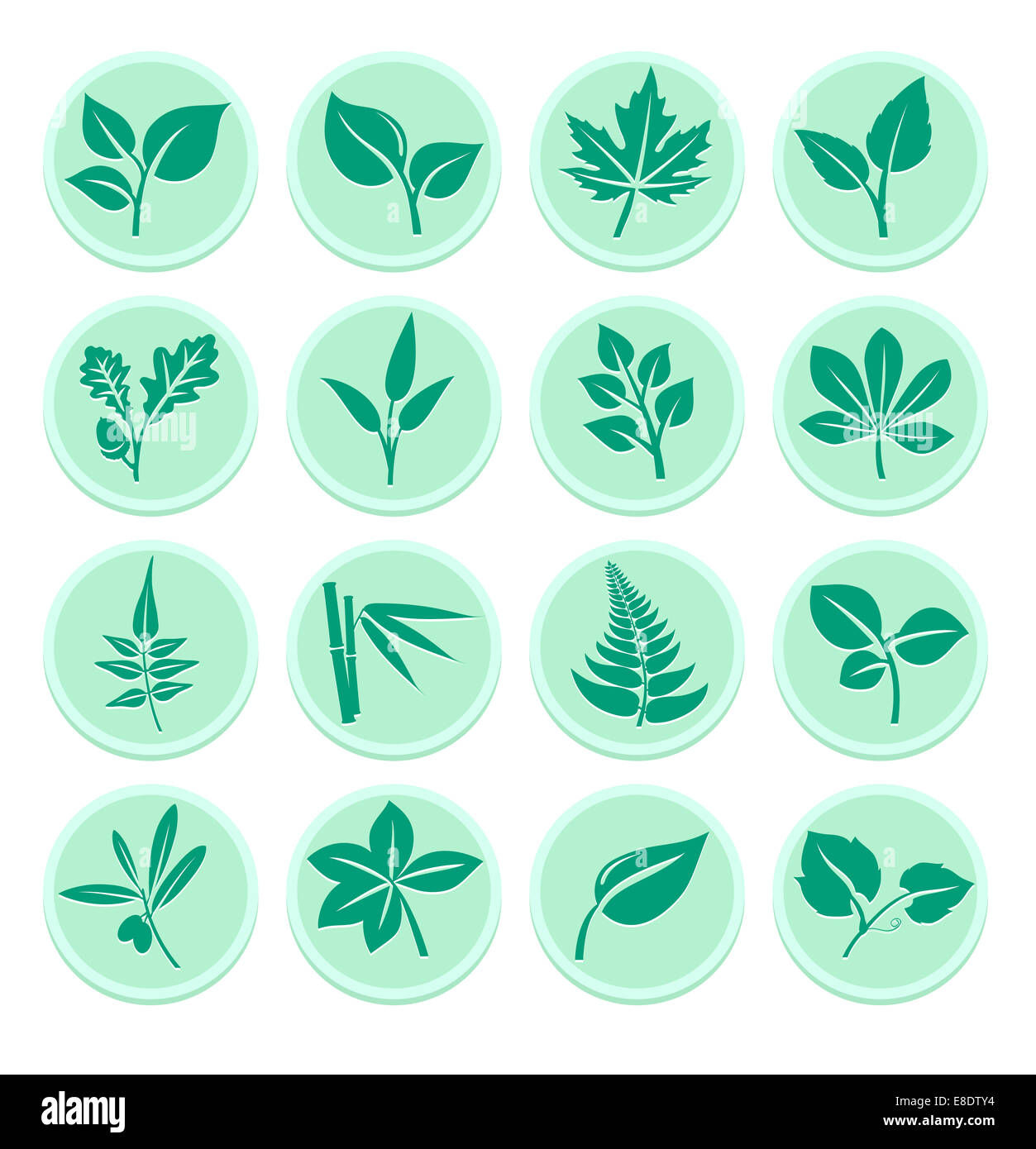 Icônes de feuille Banque D'Images