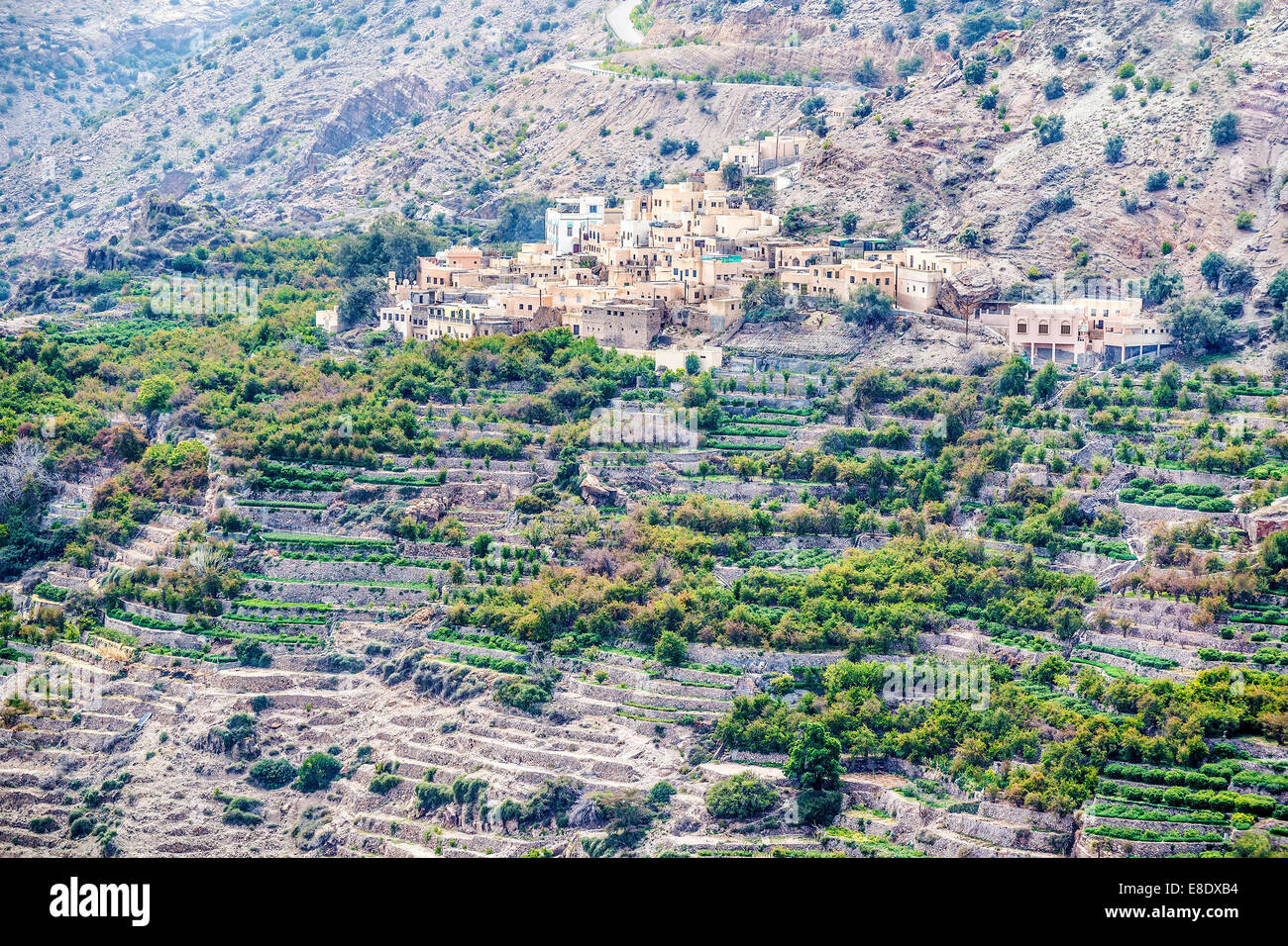 Image de paysage Plateau Saiq et cultures en terrasses en Oman Banque D'Images
