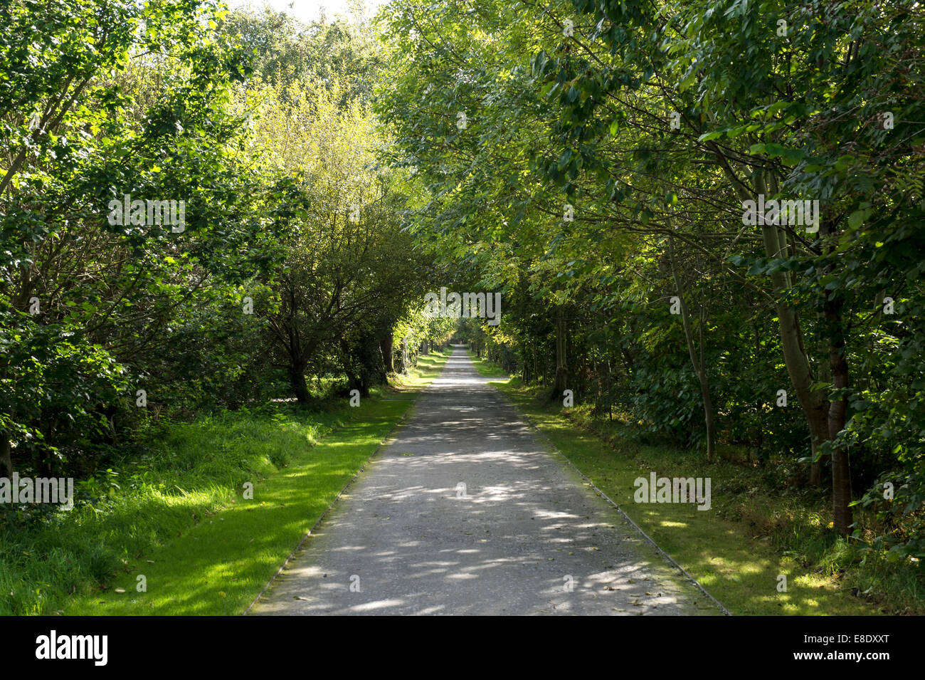Passage voûté à Oakfield Demesne, Raphoe, comté de Donegal, Irlande, Europe Banque D'Images