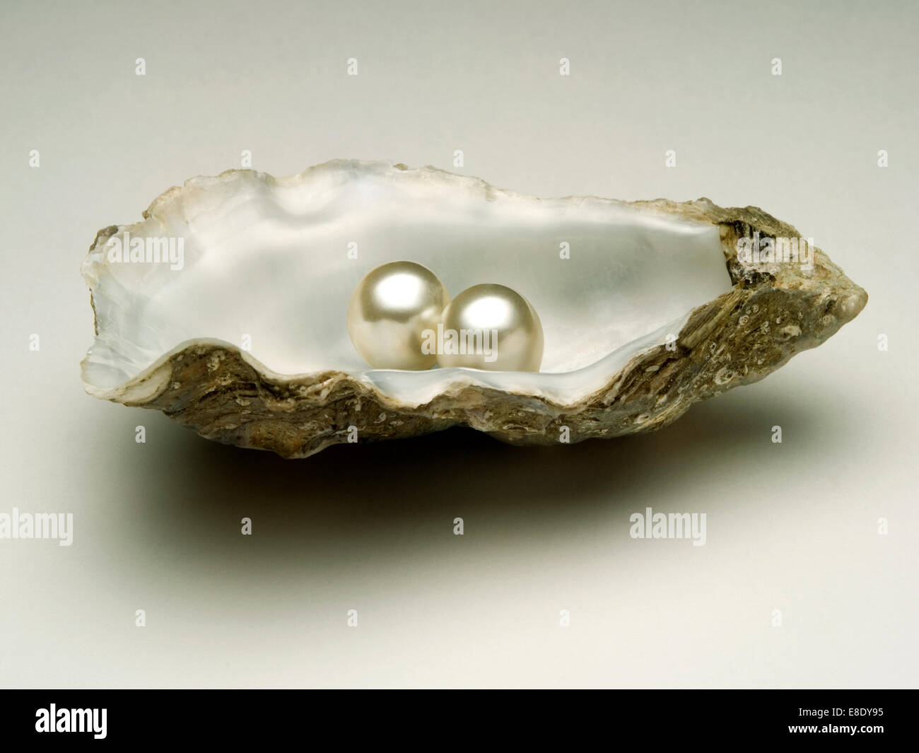 Coquille d'huître avec perles 2 Banque D'Images